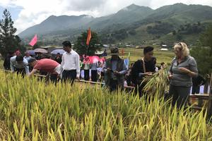 Sa Pa, Lào Cai:  Lễ hội Ngày mùa trên ruộng bậc thang Lao Chải