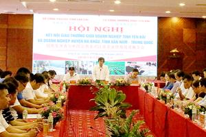 Lào Cai: Cầu nối cho doanh nghiệp Yên Bái và Hà Khẩu 