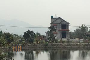 Yêu cầu xử nghiêm sai phạm về đất đai, xây dựng tại thị xã Đông Triều