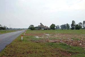 Phó Chủ tịch tỉnh chỉ đạo kiểm tra trang trại “đất vàng” cho thuê không thu hồi