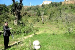 Các cơ quan chức năng chậm thực hiện chỉ đạo của tỉnh