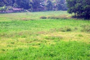 Phú Thọ: “Khai tử” dự án Đại siêu thị, trung tâm phân phối vùng Phú Thái