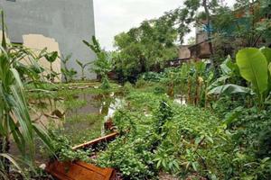 Kiểm điểm làm rõ trách nhiệm