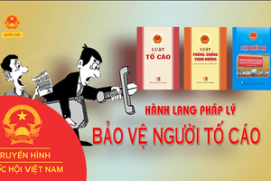Nghị định hướng dẫn thi hành Luật Tố cáo: Không được công khai thông tin về người tố cáo