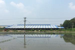 Nhà máy gạch hơn 10.000m2 xây dựng không phép