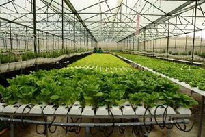 Agribank sẵn sàng đồng hành cùng nông nghiệp 4.0