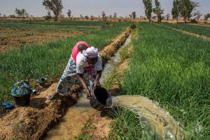 Liên Hợp Quốc khuyến khích đầu tư vào nông nghiệp để giữ chân thanh niên tại khu vực nông thôn