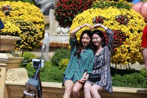 Ưu đãi combo mùa Đông: Trọn gói vé tham quan và buffet chỉ với 850.000