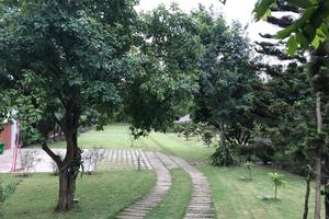 Nhà của gia đình ca sĩ Mỹ Linh: Thanh tra kết luận vi phạm thế nào?