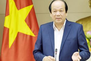  Chi cục ra văn bản “buộc tái xuất lúa mì có lẫn cỏ kế đồng” là “lộng hành”