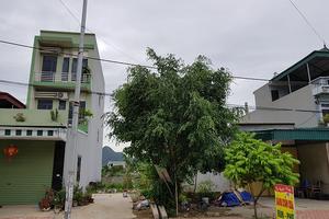 Huyện kết luận có nội dung tố cáo đúng