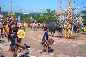 Lùi thời gian tổ chức Festival văn hóa cồng chiêng Tây Nguyên năm 2018
