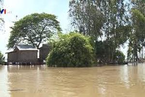 Xây dựng phương án ứng phó lũ vùng Đồng bằng sông Cửu Long