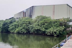 Vi phạm môi trường vẫn tự do hoạt động