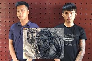 Khởi tố 2 đối tượng gây ra 12 vụ cắt trộm cáp viễn thông