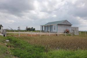 Đề nghị cơ quan chức năng  vào cuộc xử lý sai phạm