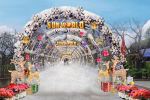 Mùa đông ngập tràn sắc màu lễ hội trên đỉnh Fansipan, vé cáp treo ưu đãi tới 50%