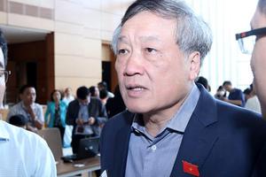 Chánh án TAND Tối cao nói về vụ container đâm Innova lùi trên cao tốc