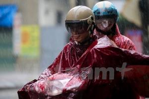 Áp thấp nhiệt đới gây gió giật mạnh nhất cấp 8, biển động mạnh