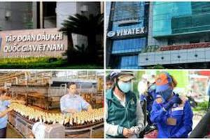 Quy chế trình tự, thủ tục chuyển giao DN về Ủy ban Quản lý vốn nhà nước tại doanh nghiệp