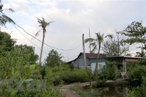 Cà Mau yêu cầu rà soát lại kết luận về sai phạm trong sử dụng đất