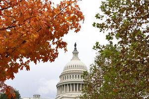 Nhìn lại các cuộc bầu cử giữa nhiệm kỳ của nước Mỹ trong 20 năm qua