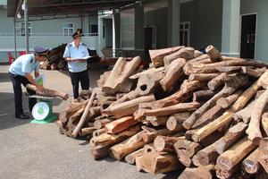 Hải quan phát hiện 15.000 vụ vi phạm, nộp ngân sách hơn 300 tỷ đồng