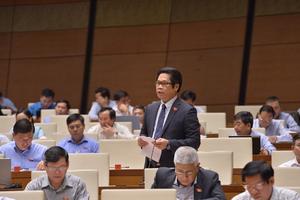 Việt Nam tham gia CPTPP, “không thể không lo lắng”