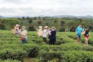 Gắn phát triển nông nghiệp với du lịch cộng đồng