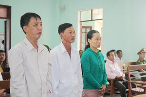 7 năm tù đối với 2 vợ chồng phá rừng phòng hộ ở Tiên Phước 