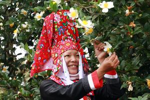Quảng Ninh:  Hội hoa sở Bình Liêu sẽ diễn ra từ ngày 7-9/12