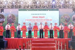 Phú Thọ: Khai mạc Lễ hội Bưởi Đoan Hùng lần thứ 1