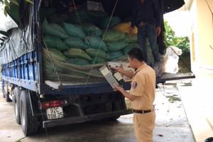 Bắt 875 chai rượu ngoại không có hóa đơn chứng từ