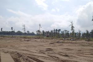  Bài 1: “Tiền trảm hậu tấu” để đất trồng lúa biến thành đất ở đô thị?