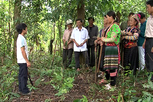 Bảo vệ rừng, rừng sẽ trả ơn