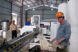 Hiệp định VPA/FLEGT: Chắp cánh cho gỗ Việt xuất khẩu trực tiếp vào thị trường EU