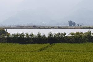 Kỳ I: Doanh nghiệp được Chủ tịch tỉnh cấp phép “dính” sai phạm