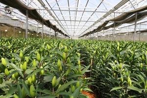 Agribank luôn đồng hành cùng giai cấp nông dân Việt Nam
