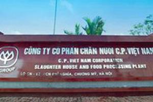 Phạt tù 11 nhân viên Công ty CP Việt Nam chiếm đoạt hơn 3,4 tỷ đồng