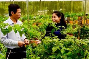 Xây dựng một nền nông nghiệp xanh, an toàn bền vững