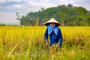 Ngày 11/12, bắt đầu Đại hội toàn quốc Hội Nông dân Việt Nam lần thứ 7