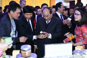 Thủ tướng dự Hội nghị xúc tiến đầu tư tỉnh Hòa Bình