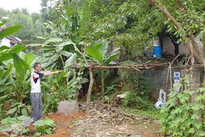 Điều gì "khuất tất" đằng sau bản hợp đồng chuyển nhượng không số?