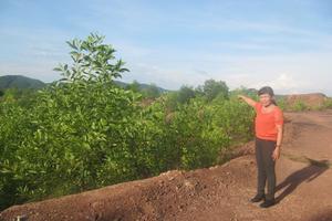 Vẫn chưa có hồi kết