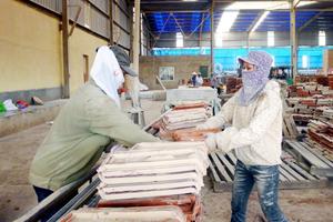 Sẽ xem xét, khởi tố doanh nghiệp chây ì nợ BHXH