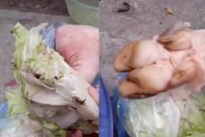 Trách nhiệm thuộc về ai?