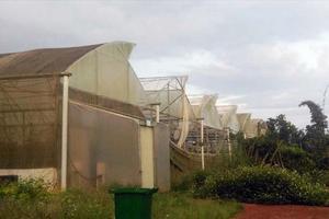 Đồng Nai: Chuyển cơ quan Công an điều tra sai phạm tại 2 dự án khoa học công nghệ