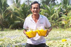 Độc đáo với bưởi vuông, dừa hồ lô, xoài thư pháp... đón Tết