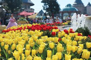 Lễ hội hoa tulip lớn nhất Việt Nam tại Sun World Ba Na Hills