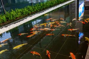 Sân bay Vân Đồn: Biểu tượng mới của kinh tế tư nhân